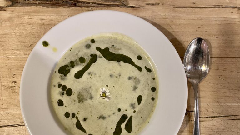 Neun-Kräuter-Suppe